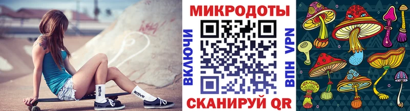 купить закладку  Кадников  Галлюциногенные грибы ЛСД 